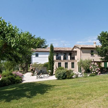 Vigna Sant' Amico Country House Morro dʼAlba Exterior foto