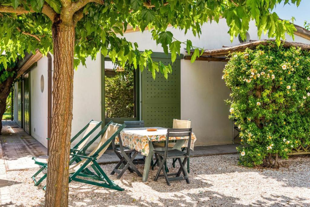 Vigna Sant' Amico Country House Morro dʼAlba Exterior foto