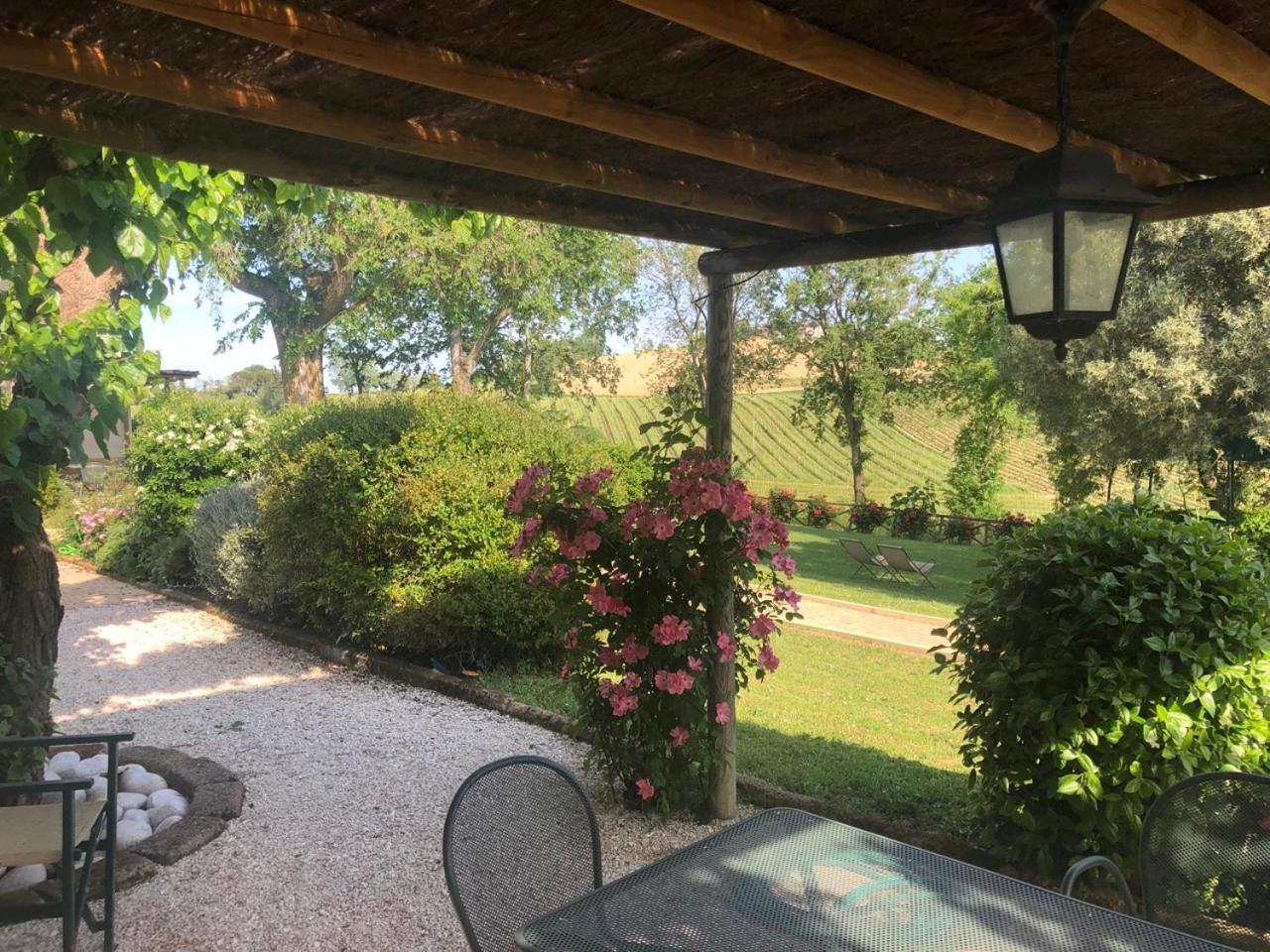Vigna Sant' Amico Country House Morro dʼAlba Exterior foto